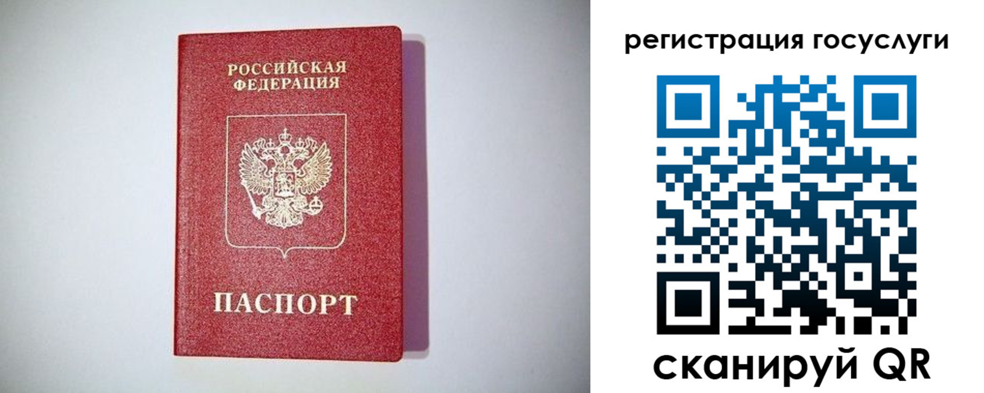 где прописаться в Ростове